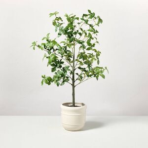 Hearth & Hand Green Faux Plant in Cream Pot